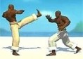 Capoeira Fighters 1