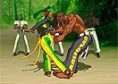Capoeira Fighter 3